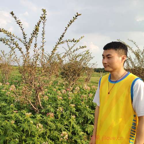 37岁岁广东单身帅哥 - 滁州吉缘网